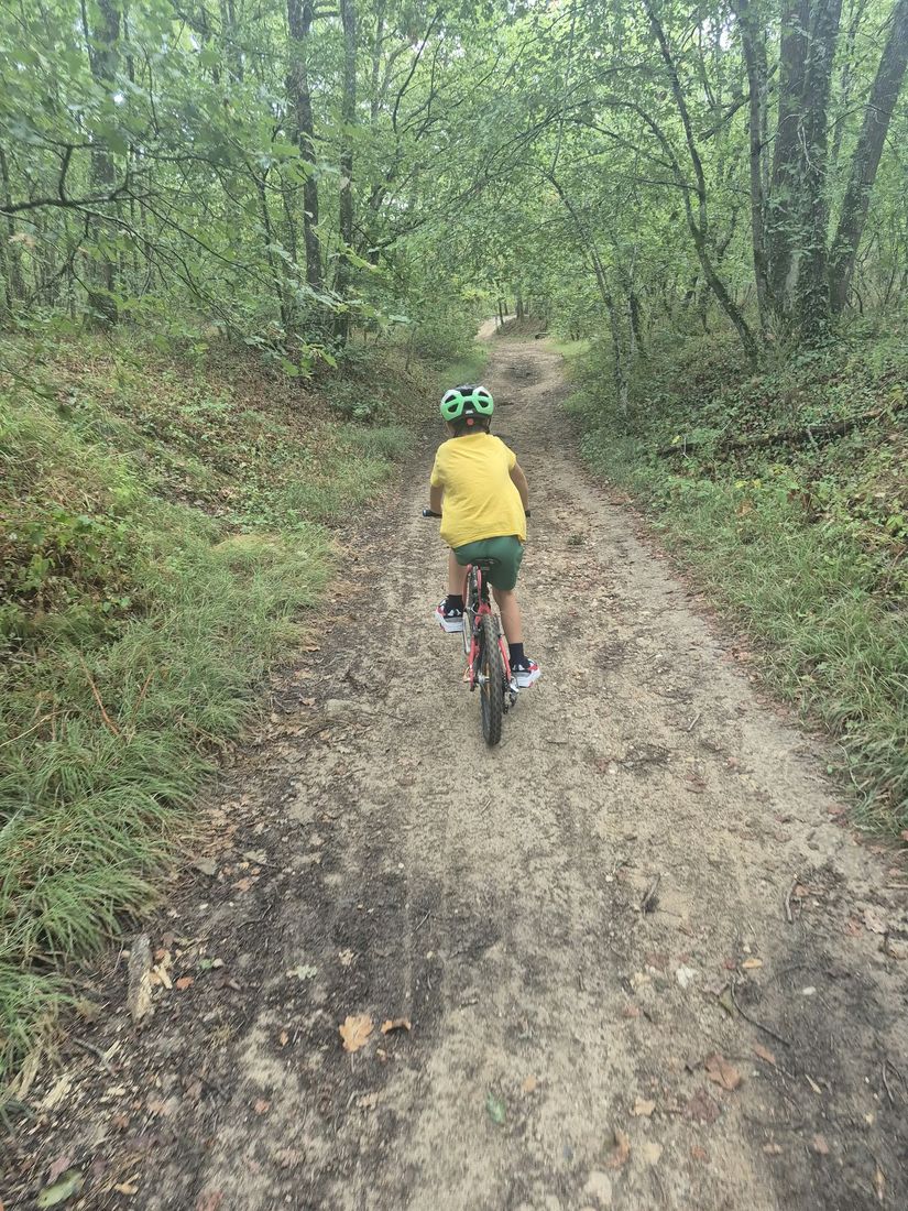 Cycling along a wooded countryside trail