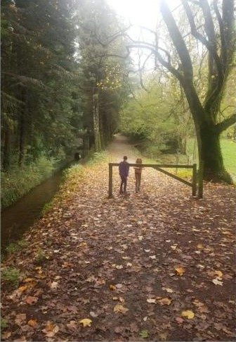 A hike through local woodland